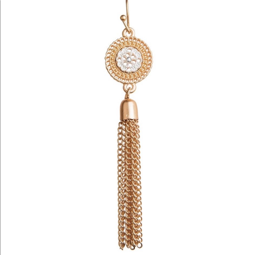 Gold Silver Medallion Chain Tassel Fringe Earring
